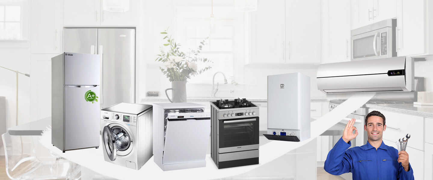 Digor Dominox Servisi